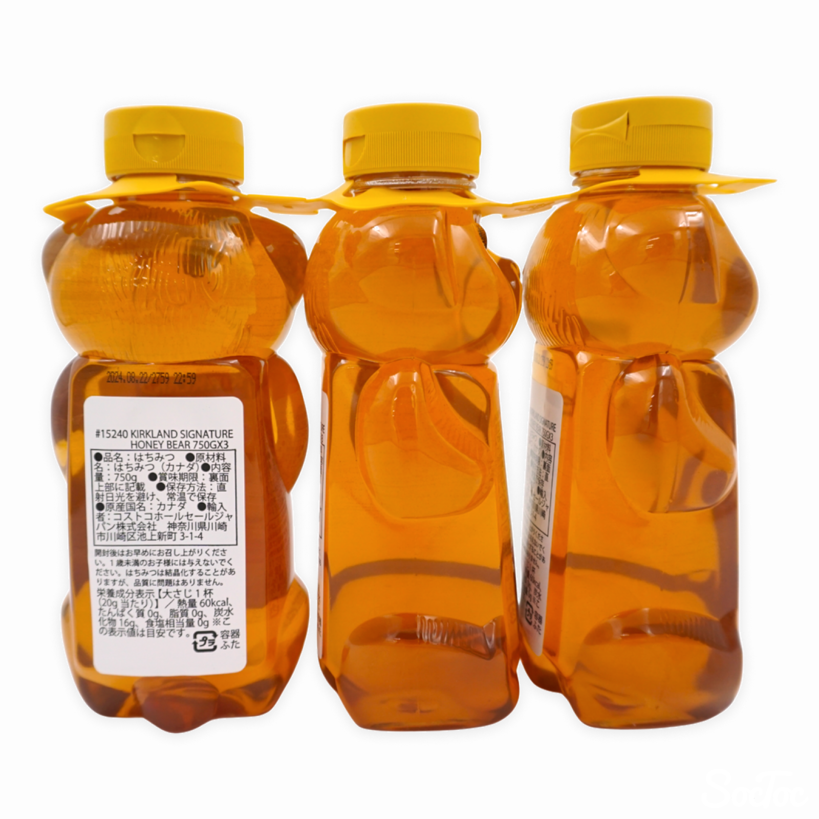 6c349bgibd2odwkakjvzn74rs0gm