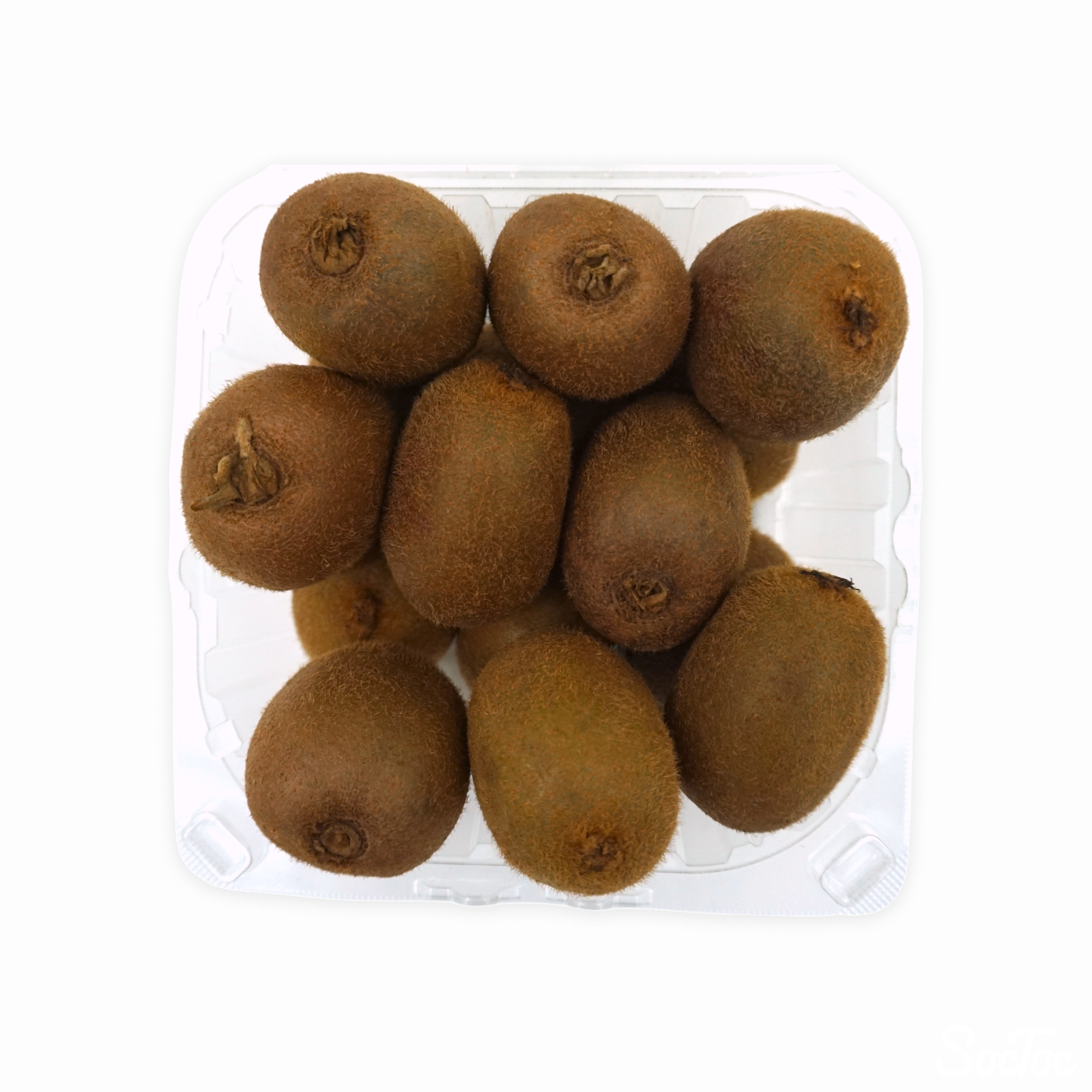 ゼスプリグリーンキウイ 1.6kg | SocToc (ソックトック) | コストコ