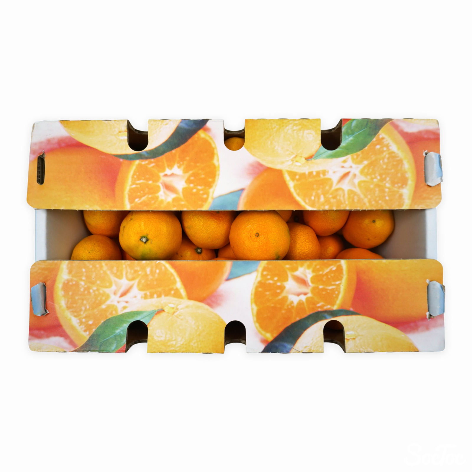 fxz6j7mqlf1fcqa5ruvfju7lbzj9