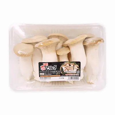 s3qb5ecuu4b69egwgipt4wu0ri78