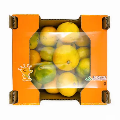 みかん 2kg | SocToc (ソックトック) | コストコ専門ネット